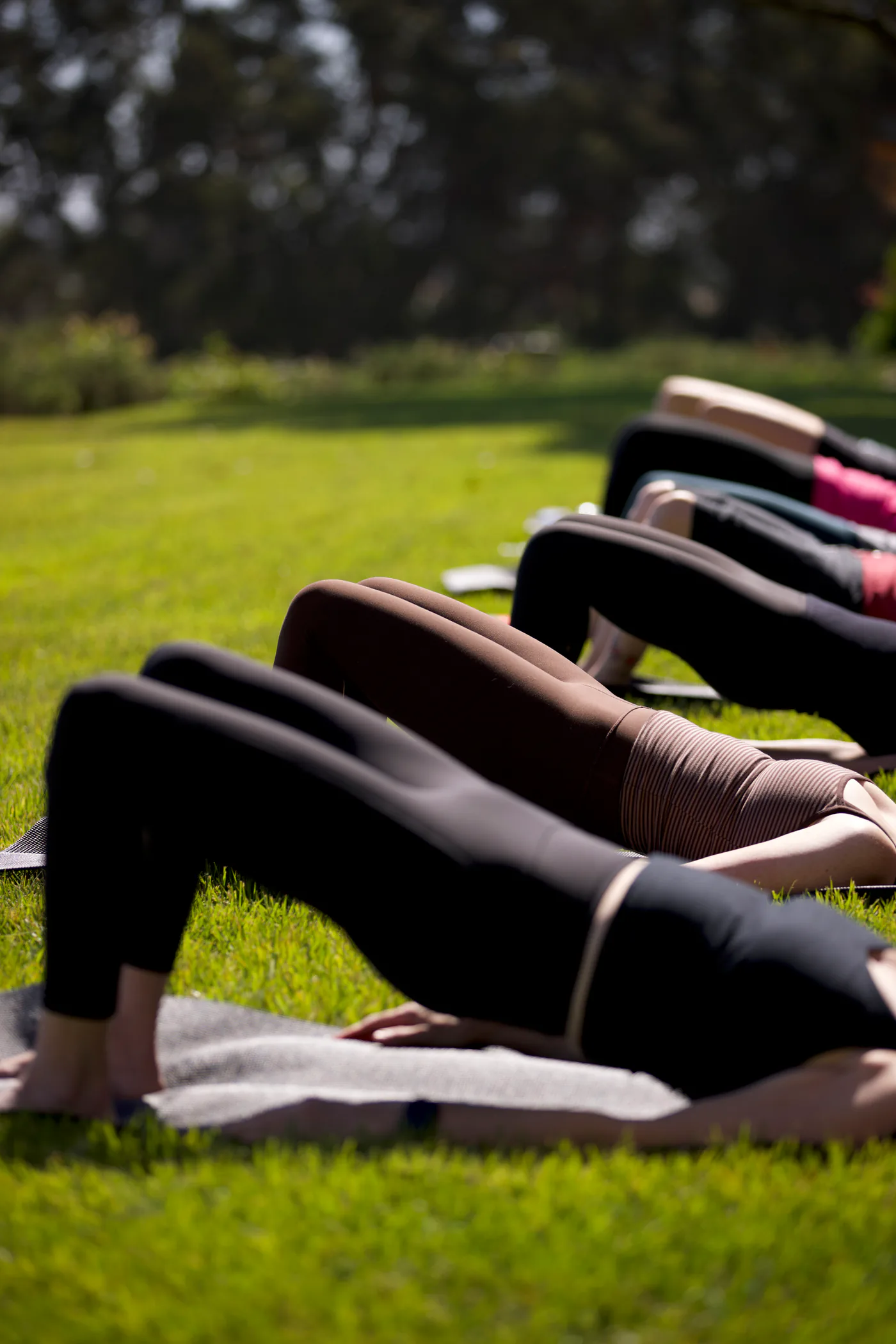 Pilates participants practicing bridge poses on mats across a grassy lawn.